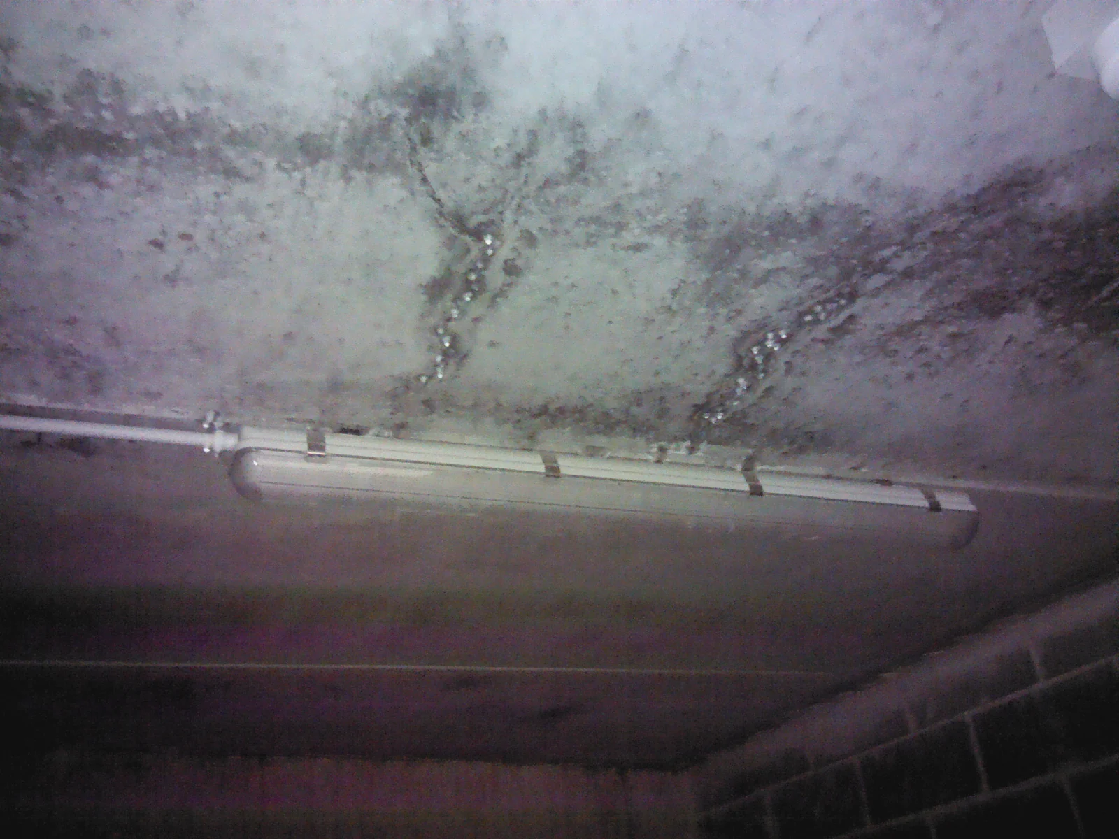Soffitto di un garage coperto di muffa attorno alla plafoniera.