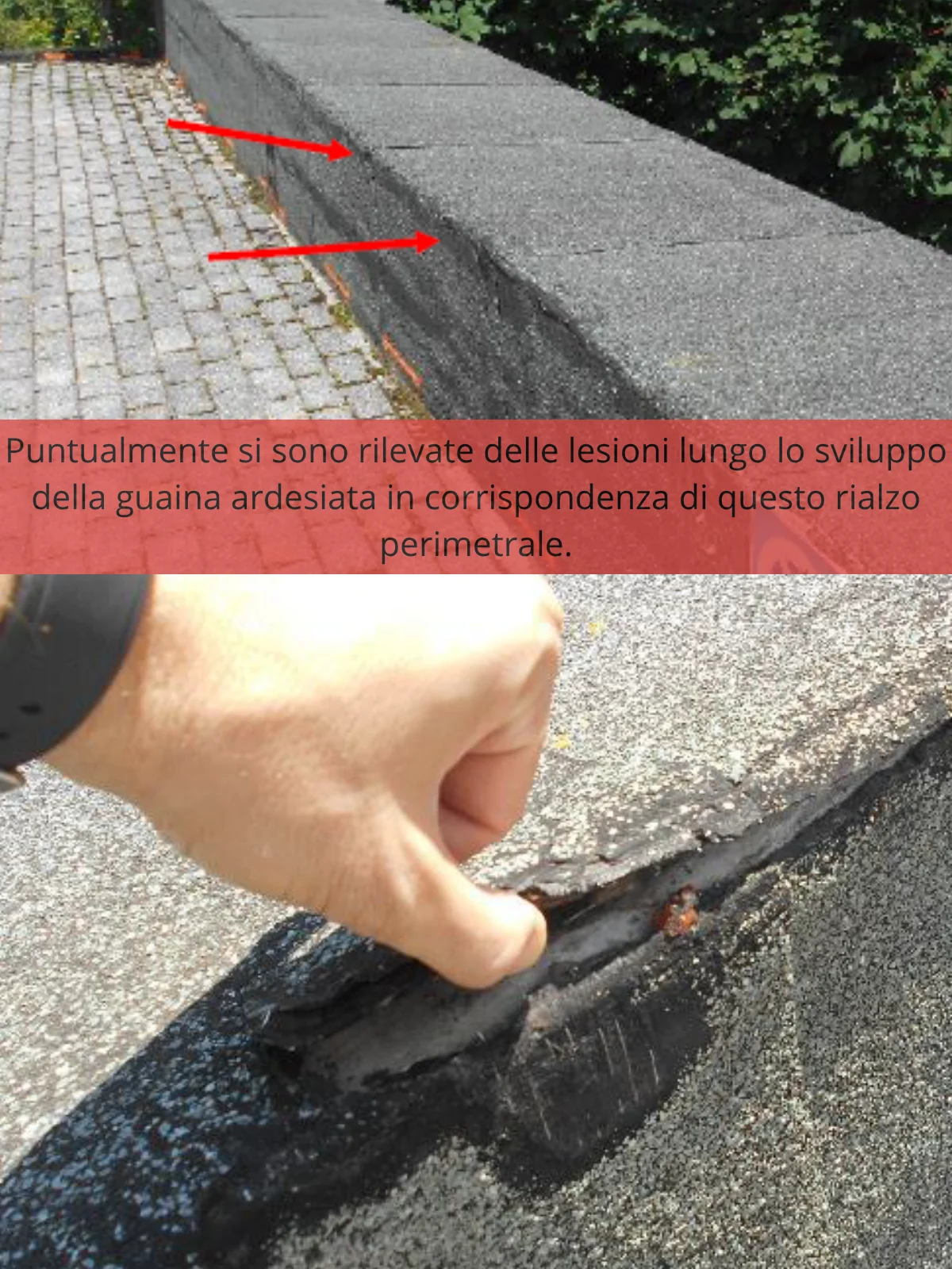 Fotografia annotata: lesioni nella guaina lungo un rialzo perimetrale, segnate con frecce rosse e indicate a mano durante il rilievo.