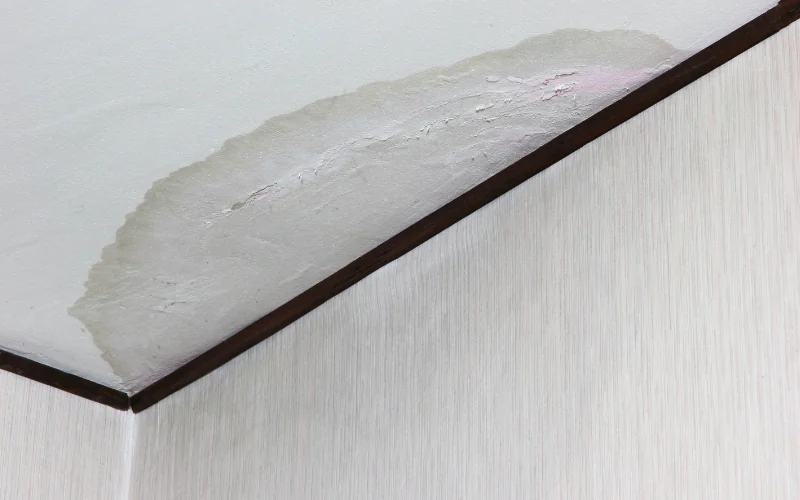 Macchia di infiltrazione sull'angolo di un soffitto imbiancato.
